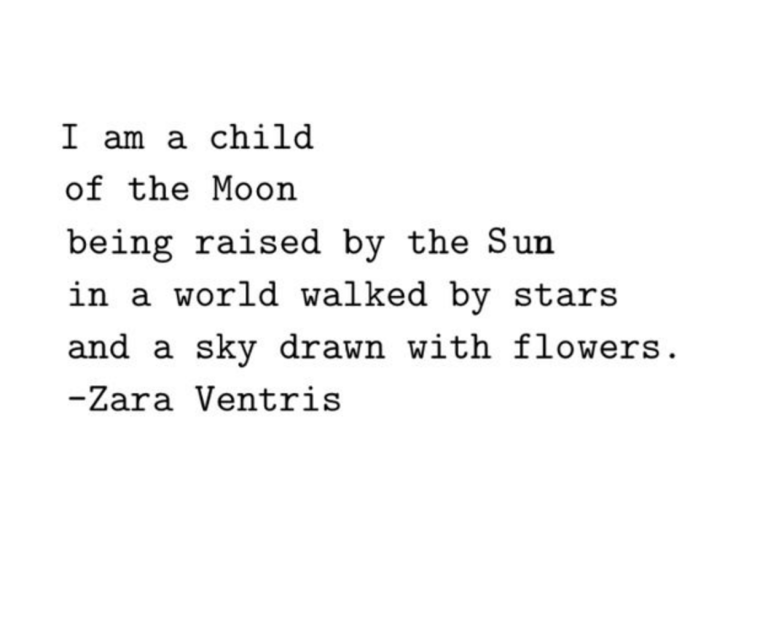 Screen Shot 2016-07-06 at 1.02.06 PM